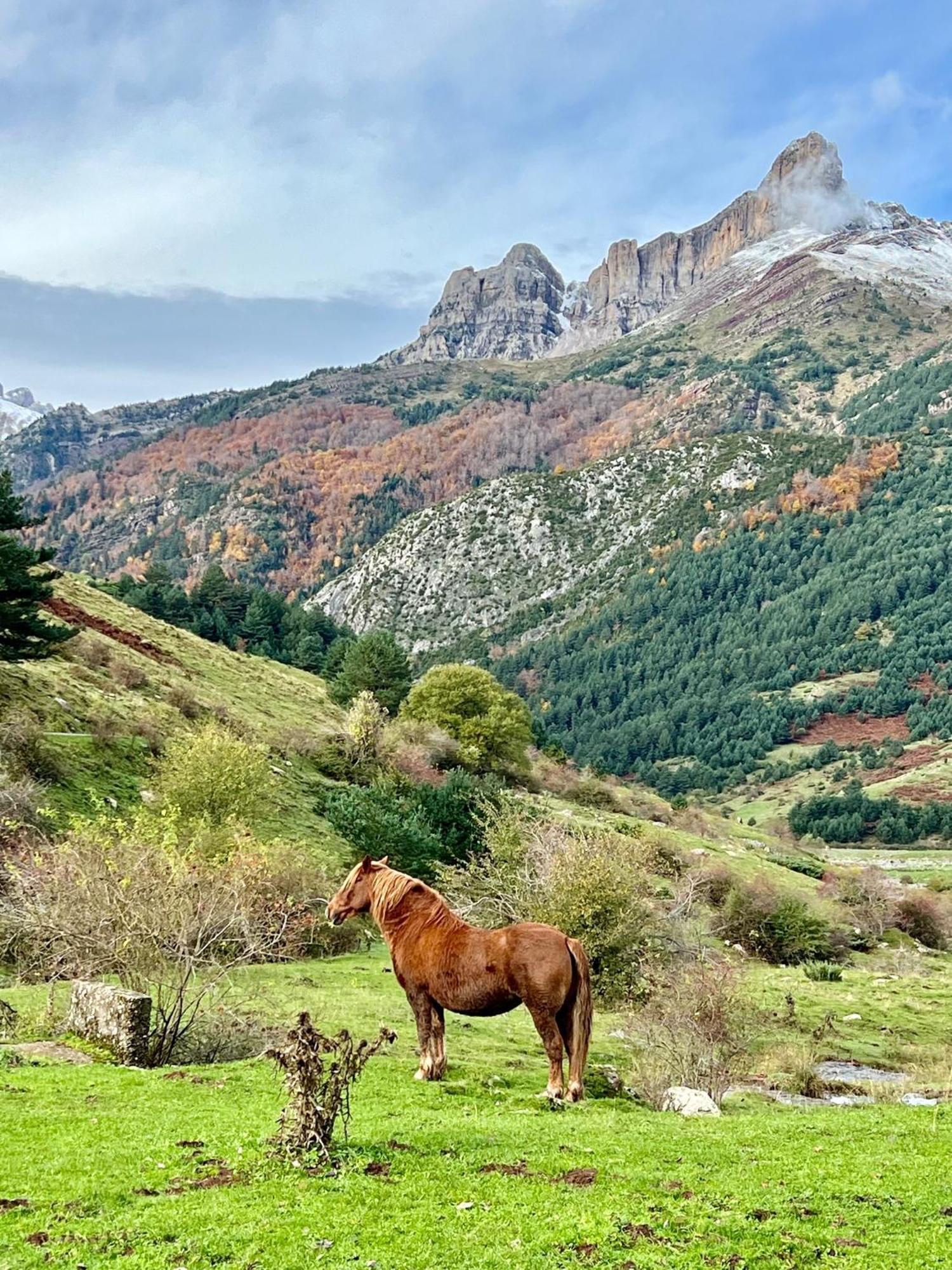 Camping Valle De Hecho Bagian luar foto